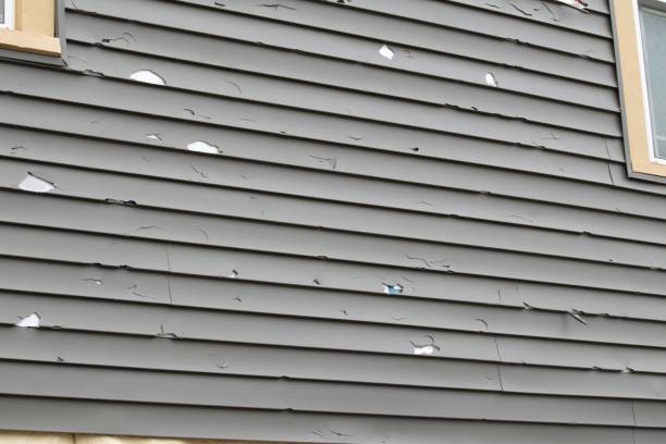 Best Recycling Services for Junk  in Glens Falls, NY